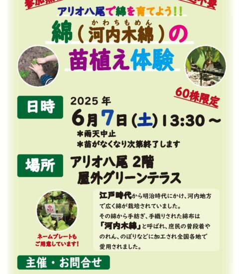 6/7 河内木綿の苗植え体験イベントのご案内（アリ…