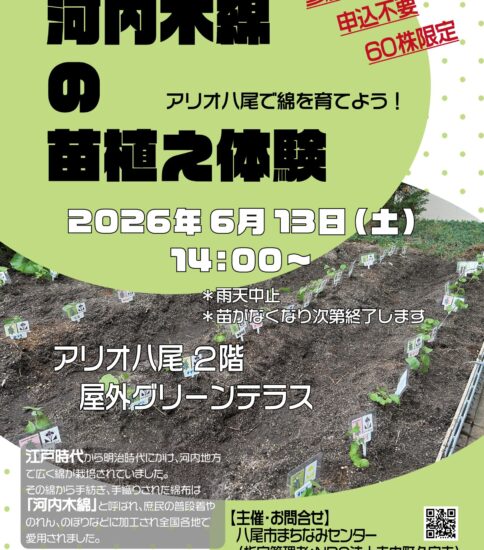 6/13「河内木綿の苗植え体験 ～アリオ八尾で綿を…